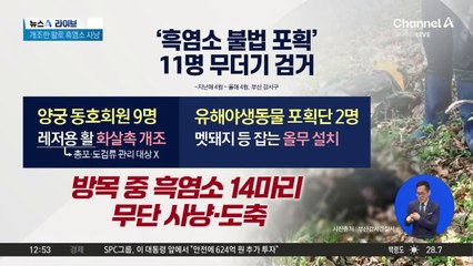 개조한 활로 흑염소 불법 사냥한 양궁 동호회