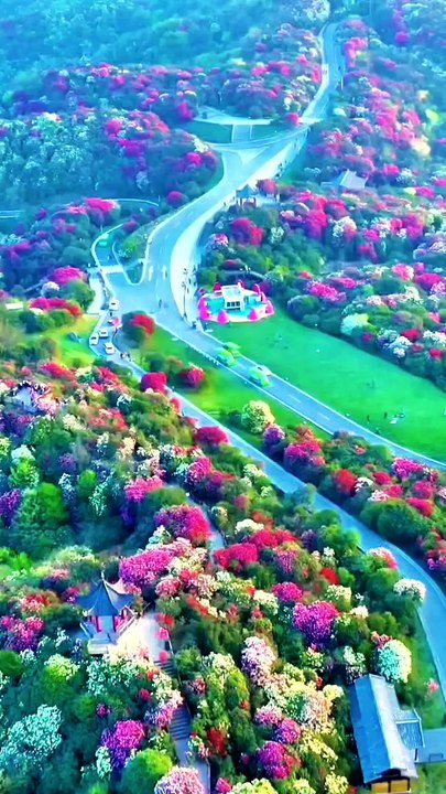 Breathtaking Nature Scenes That Will Calm Your Soul 🍃🌄