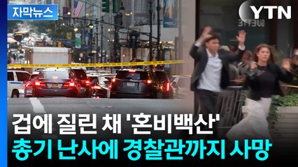 [자막뉴스] "장총 들고 들어갔다" ...뉴욕 한복판 총기난사에 8명 사망 / YTN
