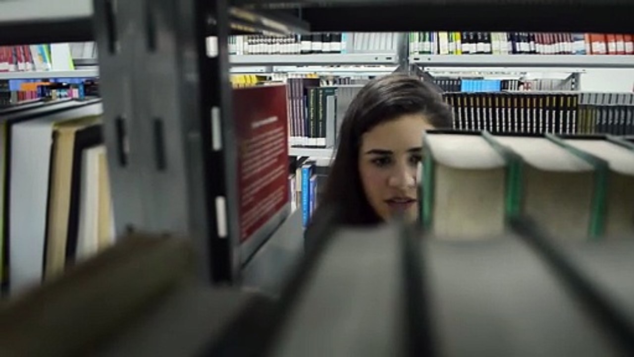 1596891-hd_1920_1080_30fps
