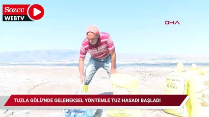 Bölge halkı beyaz ekmek diyor: Gölde hasat başladı, halkın gelir kaynağı oldu