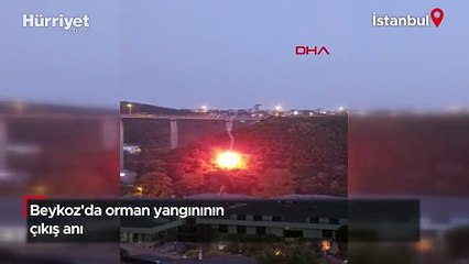 Beykoz'da orman yangınının çıkış anı kamerada