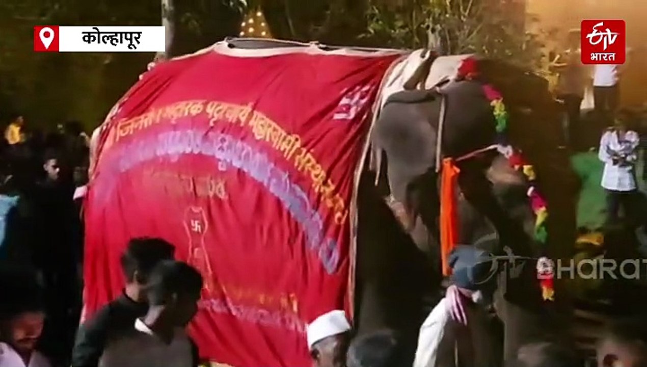लाडक्या महादेवीला निरोप देताना नांदणीकरांच्या अश्रूंचा बांध फुटला; निरोपावेळी दगडफेक झाल्यानं पोलिसांचा लाठीचार्ज