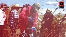 Solo huesos tras 10 años: la historia de José Vásquez en Guerrero