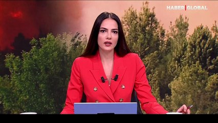 İstanbul Valiliği'nden orman yangınlarıyla ilgili yeni yasak kararı