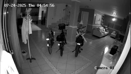 Paestum, il furto notturno nella villa dell'imprenditore