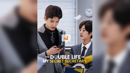 The Double Life Of My Secret Secretary