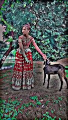 Comedy films and funny videos