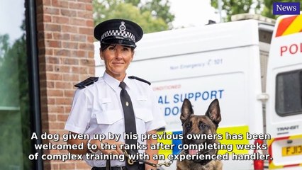 Mansfield and Ashfield Chad Morning Update 29 July, 2025