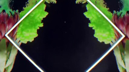 2019/20 South Africa vs England, 1st Test at Centurion.