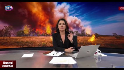 Bursa'da ormanı yakmaya çalışan şüpheli kaçtı!