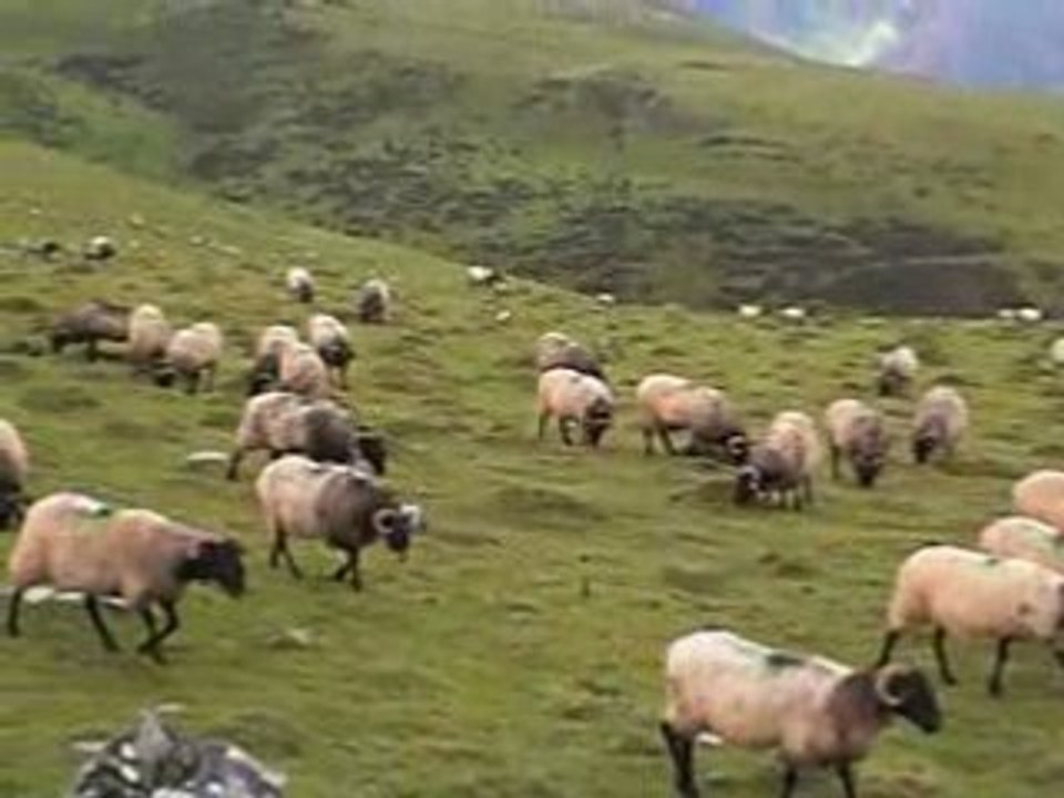 Traversée des Pyrénées - Magique