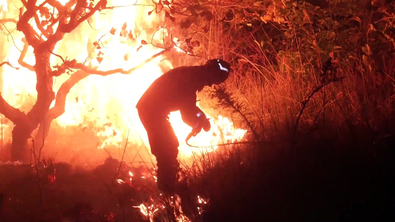 300 INCENDIOS FORESTALES  T- 58 SEGU
