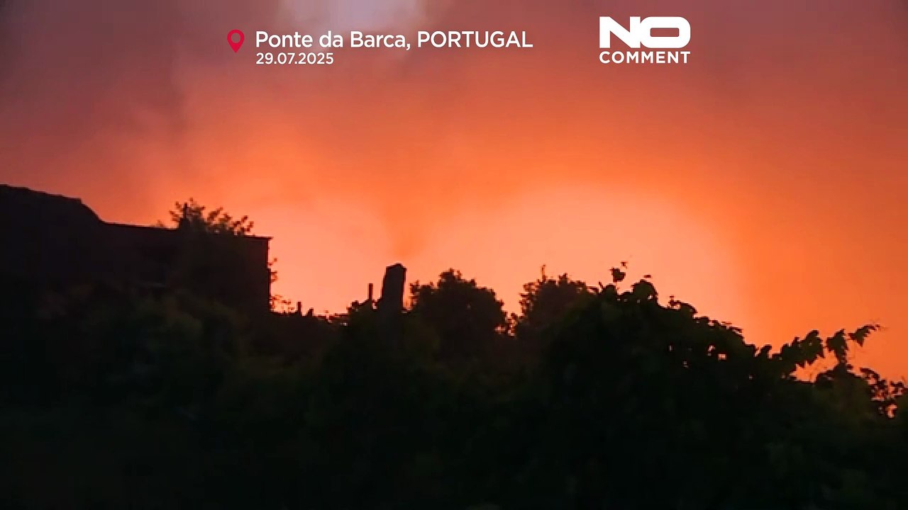 Portugal battles major wildfires as heat and winds intensify risk