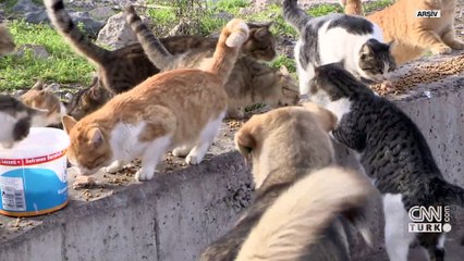 Kedi tüyü sonu oldu: Okan Diköz hayatını kaybetti