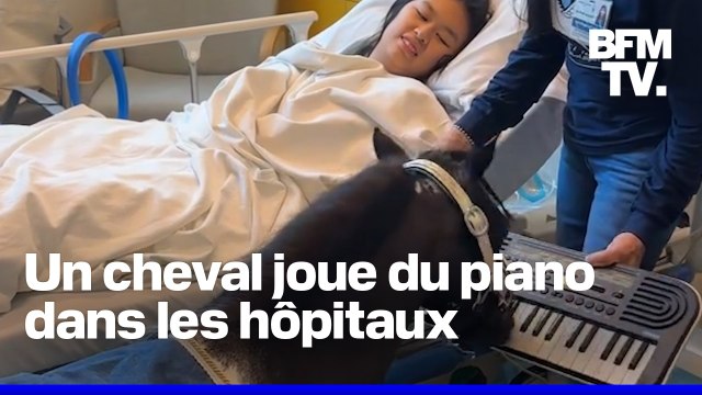 Aux États-Unis, des chevaux jouent du piano dans les hôpitaux pour aider au rétablissement des patients