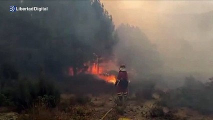 La UME ya está sobre el terreno en el incendio de Ávila