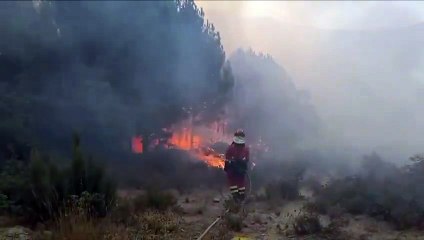 Labores de extinción de la UME en el incendio de Cuevas del Valle