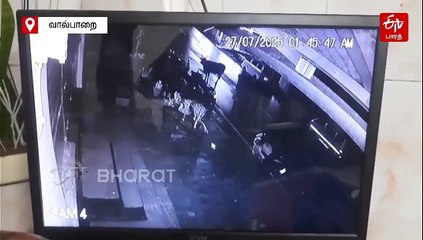 டென்சி காட்டு யானையின் அட்டகாசம்... எஸ்டேட் தொழிலாளர்கள் அச்சம்!