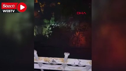 Attıkları havai fişek yangın çıkardı; 4 gözaltı