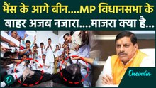 Madhya Pradesh Vidhansabha के बाहर Congress का कैसा प्रदर्शन | CM Mohan Yadav | वनइंडिया हिंदी