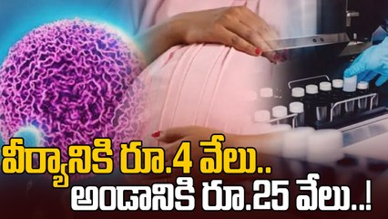 Srushti Test tube Baby Center: సృష్టి టెస్ట్ ట్యూబ్ బేబీ కేసులో  ట్విస్ట్! | Oneindia Telugu