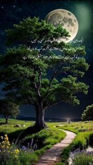 Woh Chala Gaya... Par Yaadein Chhod Gaya 💔🕊️"