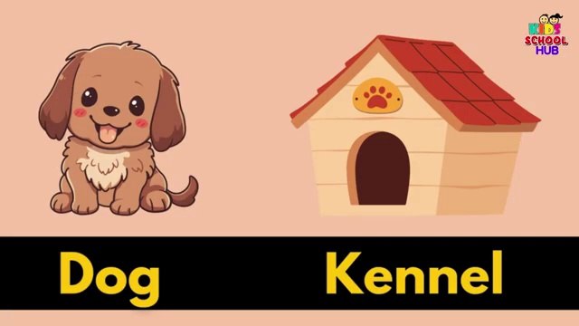 Animals and their homes _ Animals home _ Home of animals _ Animal homes Animal shelter for kids