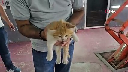 Otomobilin Bölmesinde Şehir Şehir Gezdi!