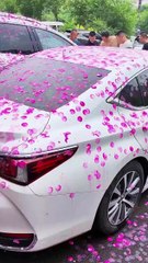 Quand le printemps ruine ta voiture 