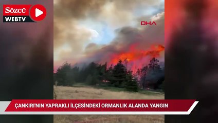 Çankırı'nın Yapraklı ilçesindeki ormanlık alanda yangın