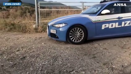 Maxi piantagione di marijuana sequestrata a Fonni, due arresti