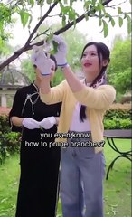 · From Ashes to Him Chinese Drama - Full HD [Eng Sub]