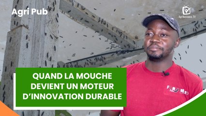 Agri Actu : Quand la mouche devient un moteur d’innovation durable