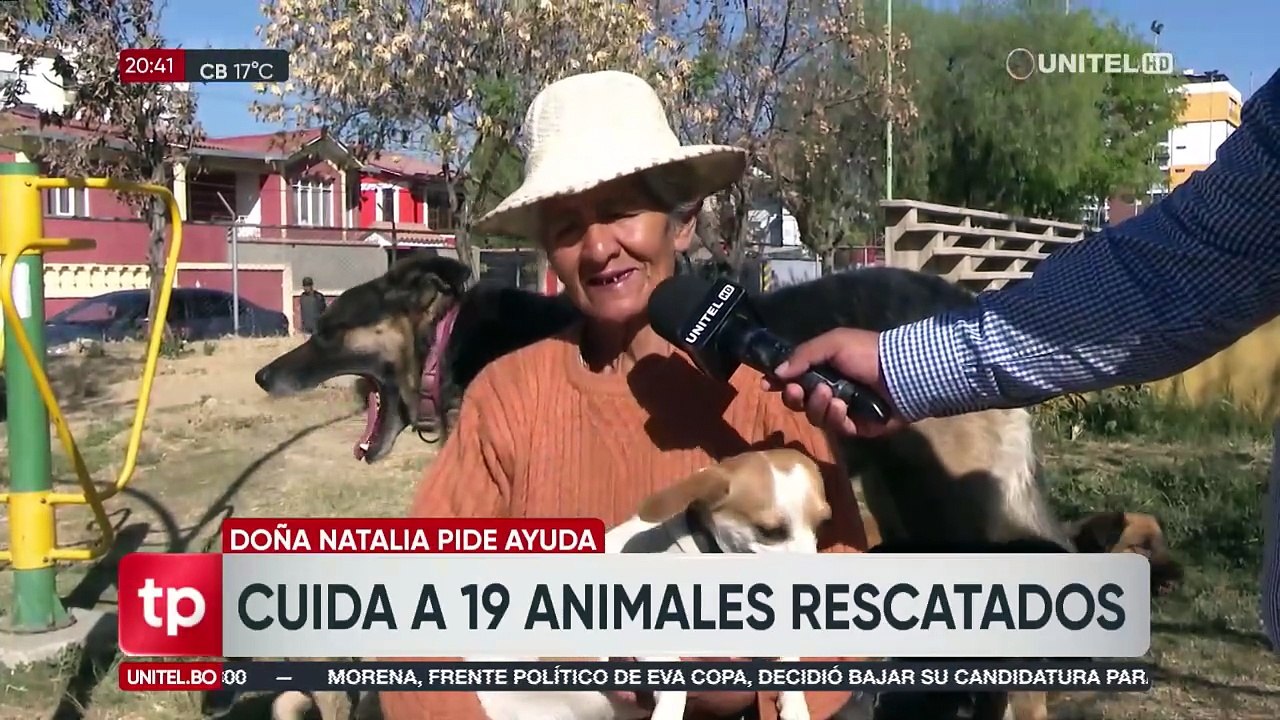 Doña Natalia cuida de 19 animales rescatados, los vacuna y alimenta con ingresos que consigue vendiendo dulces y juguetes en la calle