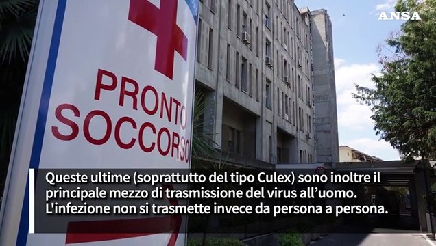 Come si diffonde il virus West Nile: il ruolo di uccelli selvatici e zanzare