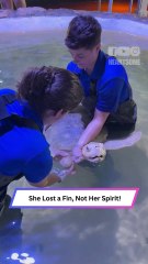 One-Fin Wonder: Turtle Swims Again Like a Queen! 🐢🌊