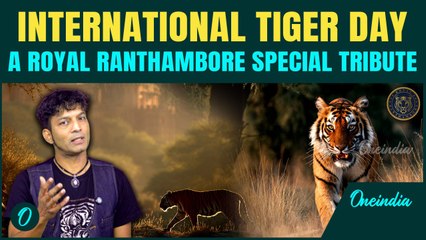 Royalty Meets the Wild: Royal Ranthambore Celebrates International Tiger Day with a Timeless Ode