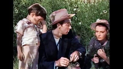 El Sureño /Películas del Oeste Completas en Español Latino