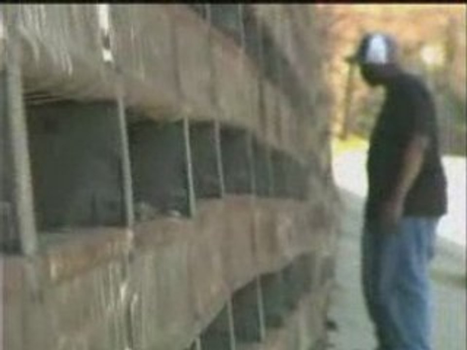 Madvillain - rhinestone cowboy video