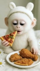 Kidy funy monky part 1