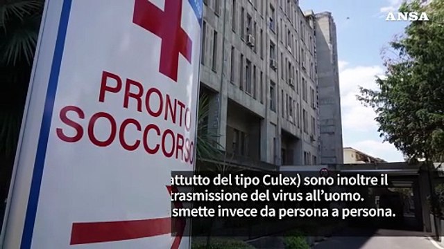 Come si diffonde il virus West Nile: il ruolo di uccelli selvatici e zanzare