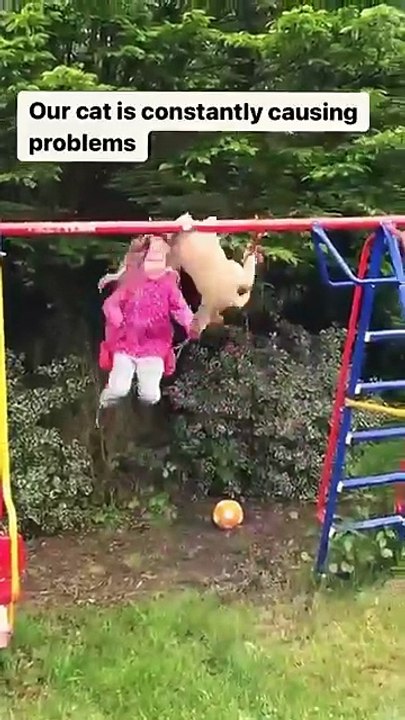 #cats #cutecats #foryou #funnyvideos #fypシ #cute #funnycat #catlover #funnypets