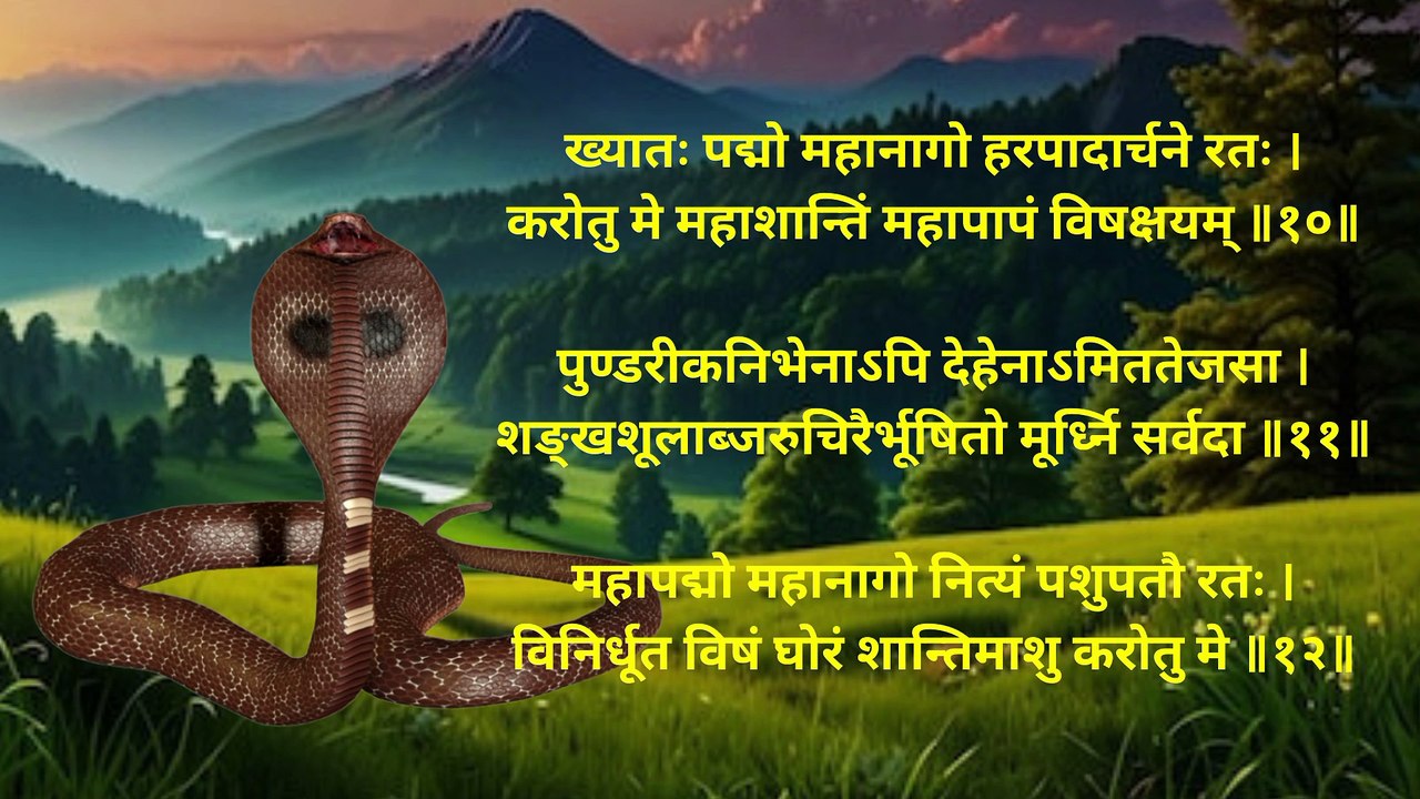 Naag Shanti Stotram | नाग शांति स्तोत्रम् | नाग पंचमी के दिन अवश्य सुनें #naagpanchami