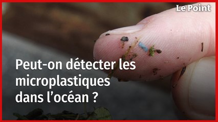 Enora Prado, chercheuse à l'Ifremer : « On retrouve du plastique partout »