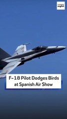F-18 Pilot Dodges Birds At Spanish Air Show