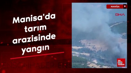 Manisa'da tarım arazisinde yangın çıktı