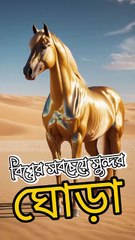 পৃথিবীর সবচেয়ে সুন্দর ঘোড়া 🐎 #beautifulhorse #foryou