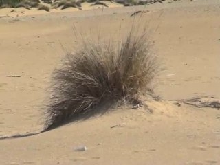 Sardegna - Piscinas tra dune e vecchie miniere