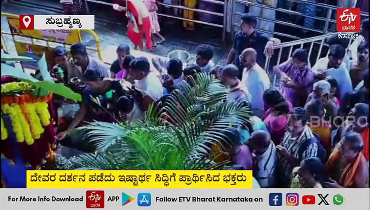 ಕುಕ್ಕೆ ಸುಬ್ರಹ್ಮಣ್ಯ ದೇವಸ್ಥಾನದಲ್ಲಿ ಸಂಭ್ರಮದ ನಾಗರ ಪಂಚಮಿ‌ ಆಚರಣೆ: ವಿಡಿಯೋ